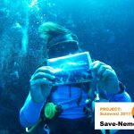 www.Save-Nemo.org